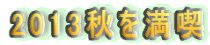 2013�H�𖞋i 