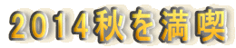 2014�H�𖞋i 